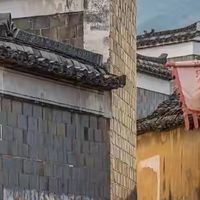 乳糖不耐受选什么品牌的蛋白粉？分离乳清产品对照