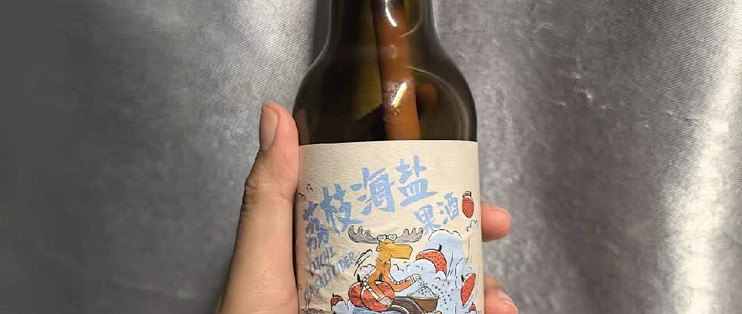 聚会带精酿，比带一提拉啤有意思