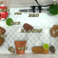 冬天真来之前，先把加热棒安排上：四平台100多条炸缸、避雷、电费帖对完，下单前先答完这4道题