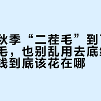 狗狗的秋季“二茬毛”到了：别急着剃毛，也别乱用去底绒梳，美容的钱到底该花在哪