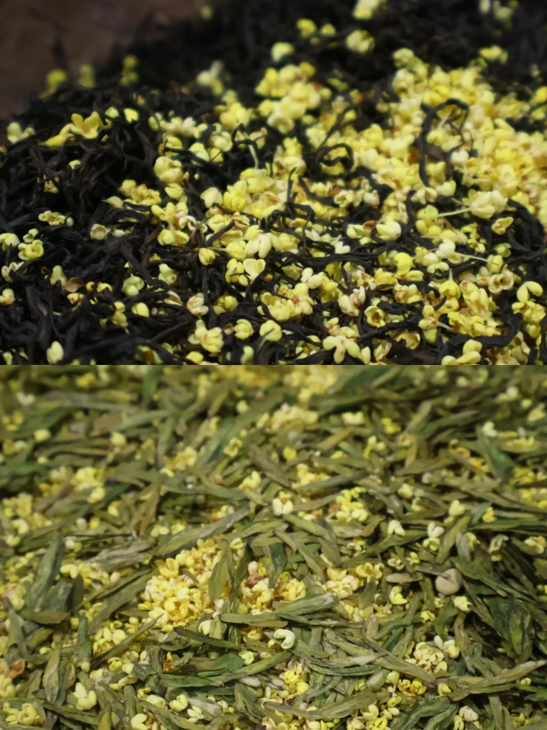 桂花茶一年只赶这一次：2026窨制刚开闸，先弄懂这3件事再付钱