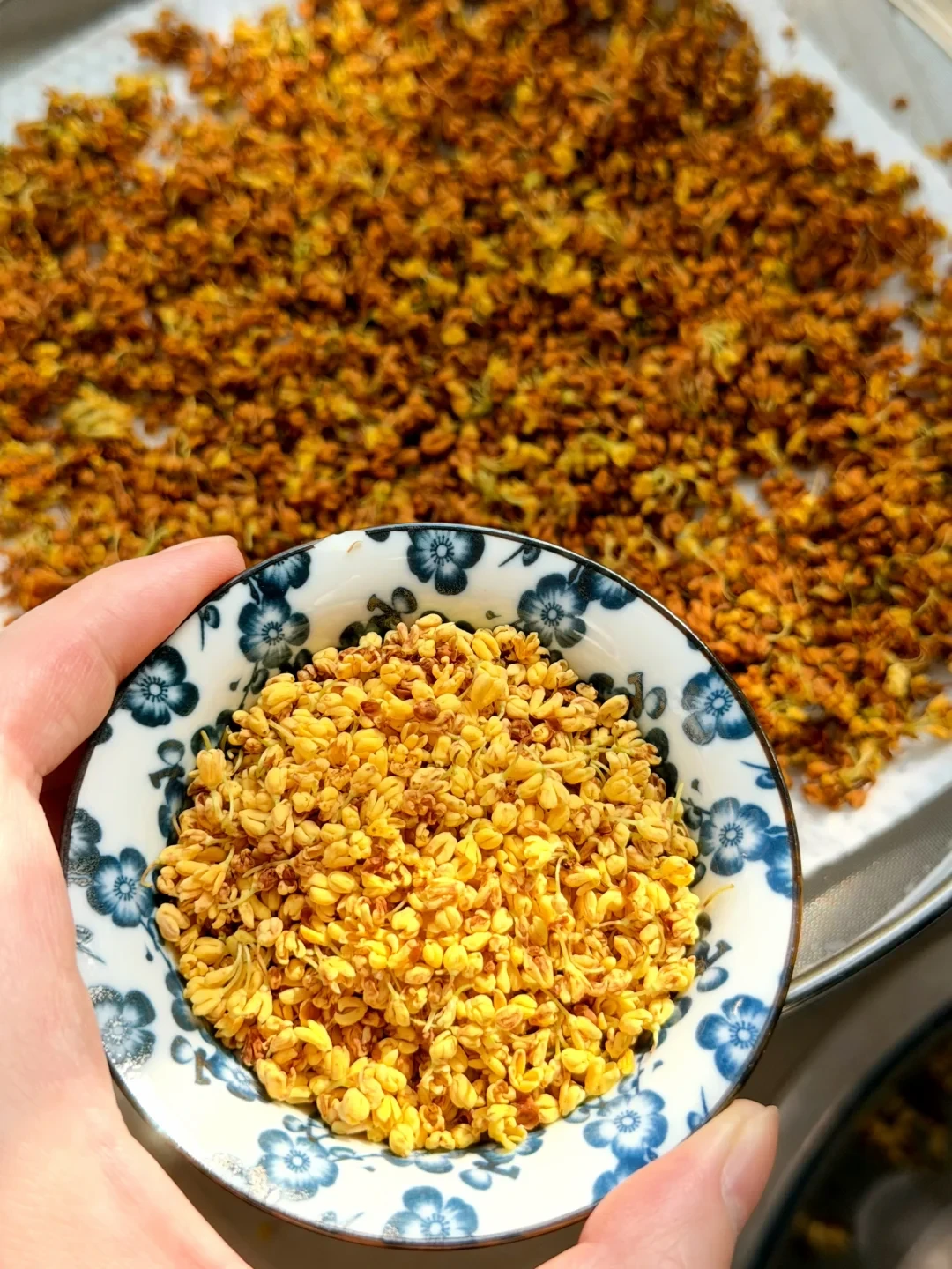 桂花茶一年只赶这一次：2026窨制刚开闸，先弄懂这3件事再付钱
