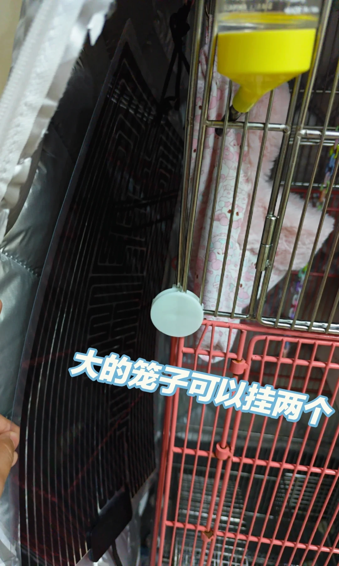 降温先别急着下单加热垫:蜜袋鼯保暖5种方案,评论区吵了3个冬天,账一次算清