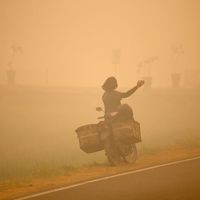 烟霾让N95一只难求，医用口罩抽检翻车 | 医用口罩10.15日报