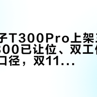 正点原子T300Pro上架三周：老款T300已让位、双工位功率没官方口径，双11下单前把这四个问题拿去问客服