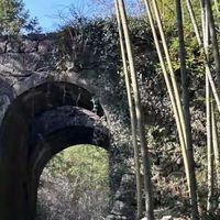 买高纯rTG鱼油先看哪四项?产品按选购清单逐一比较