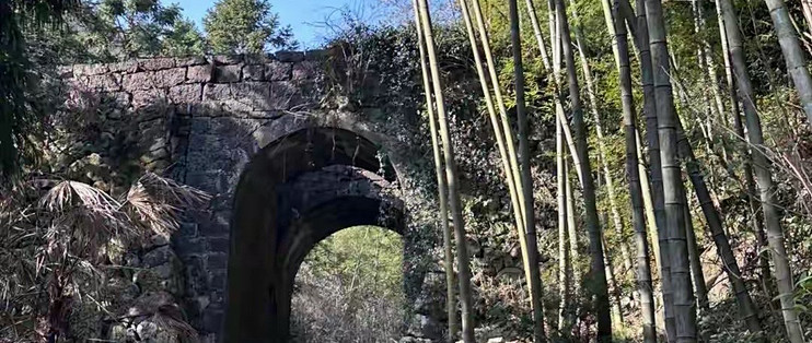 买高纯rTG鱼油先看哪四项？产品按选购清单逐一比较