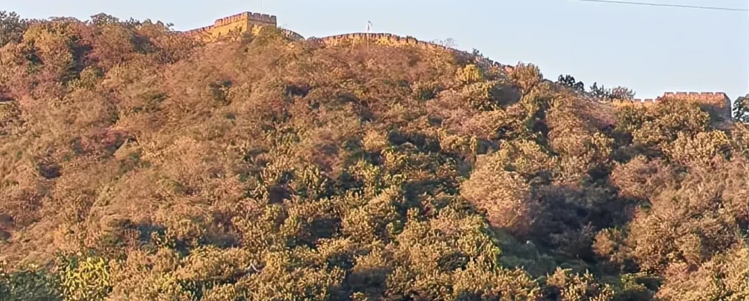 现在就出发4在慕田峪录完节目,红叶季紧接着开板:这个周末的慕田峪,先算清三笔账再上山