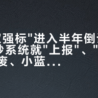 智驾"双强标"进入半年倒计时：脱手5秒系统就"上报"、"L2.9"话术作废、小蓝灯上不了公告——现在买车还是等2027款？