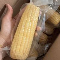 🌽农科玉东北白甜糯玉米｜糯到会拉丝！
