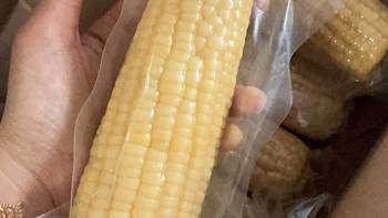 🌽农科玉东北白甜糯玉米｜糯到会拉丝！