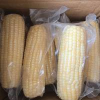 挖到靠谱粗粮🌽农科玉甜糯白玉米