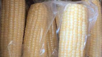 挖到靠谱粗粮🌽农科玉甜糯白玉米