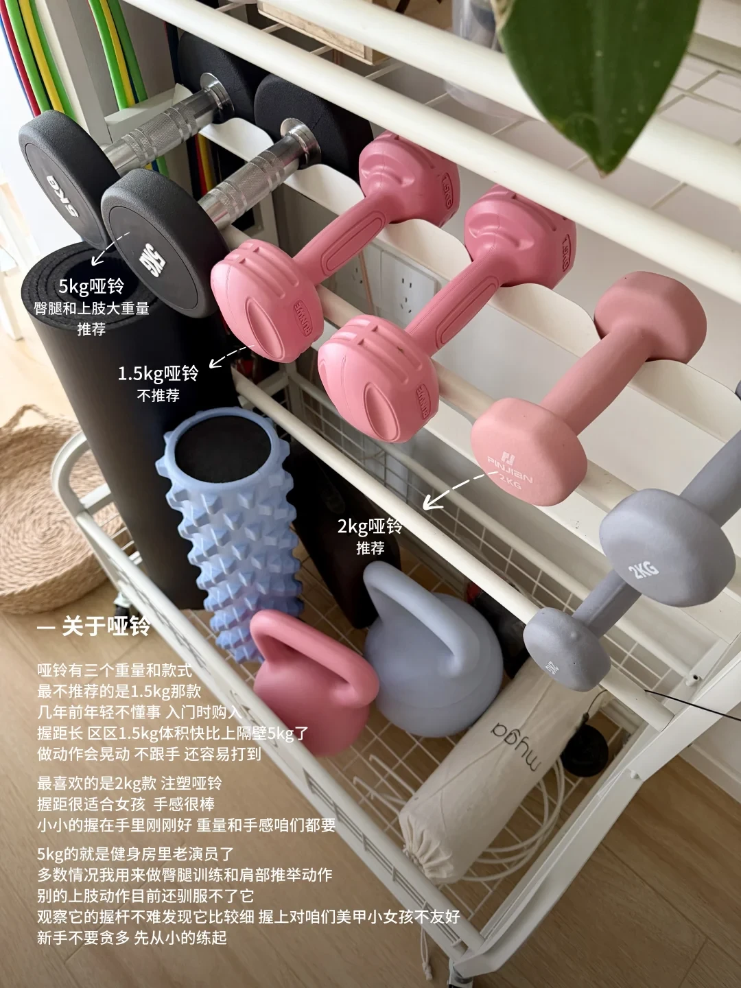 别再吵哑铃买几公斤了:十几份“公斤表”互相打架,换个标尺就全通了