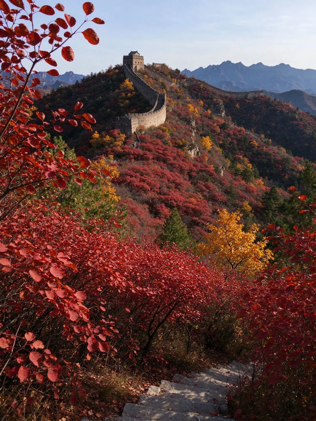 刷屏的