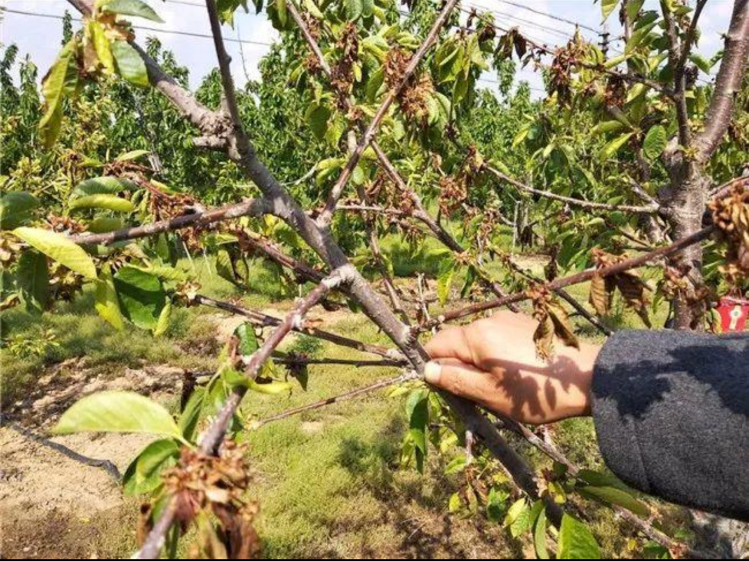 王海的曝单成绩单:直播间的6颗