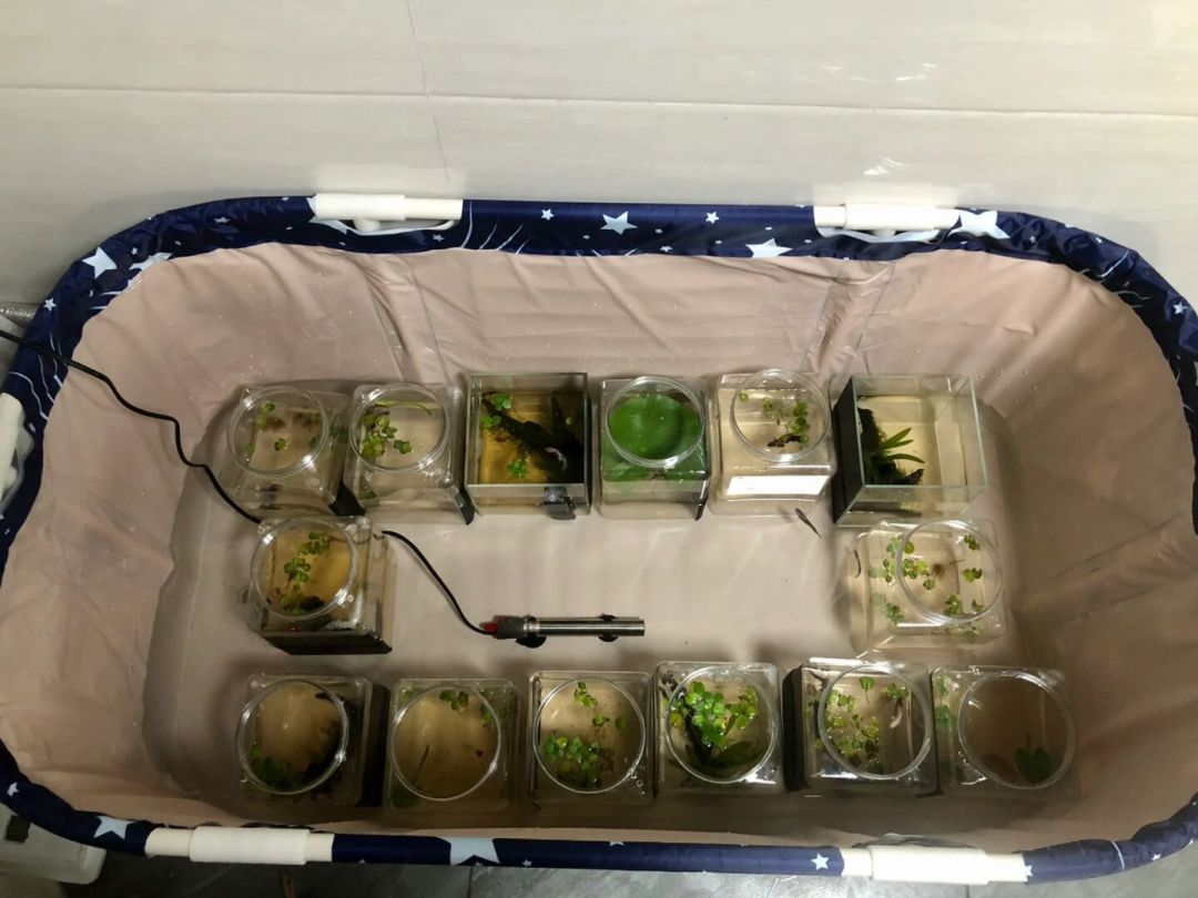加热棒一开半个冬天,电费到底多少?这笔账替你算清了:省电款不省电,真正省钱的是这三件事