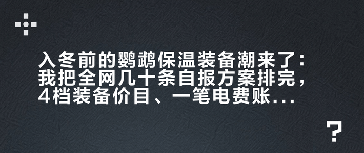 入冬前的鹦鹉保温装备潮来了：我把全网几十条自报方案排完，4档装备价目、一笔电费账和3条出鸟命的红线，一次分清