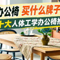 人体工学办公椅买什么牌子好用一点？十大人体工学办公椅推荐