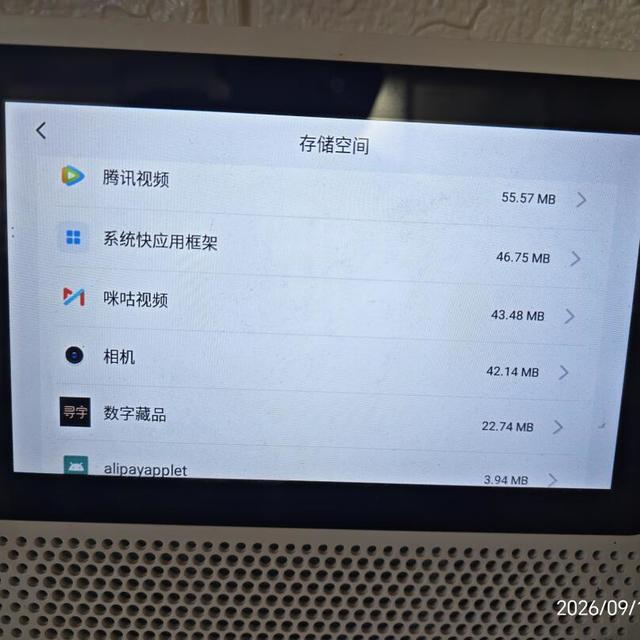 吃灰小度的“复活产业链”：先查那块“三年寿命”的闪存，再防刷机包里的套中套