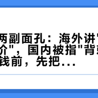 徕芬的两副面孔：海外讲"为什么值这个价"，国内被指"背刺"——双11掏钱前，先把这三笔账对完