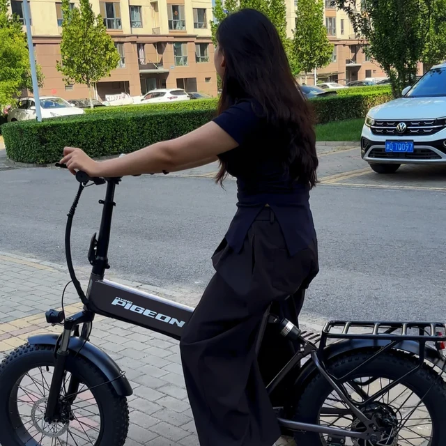 双十一下单飞鸽电助力前，先把商品名截个图：“速度传感”“120km”和你想的不是一回事
