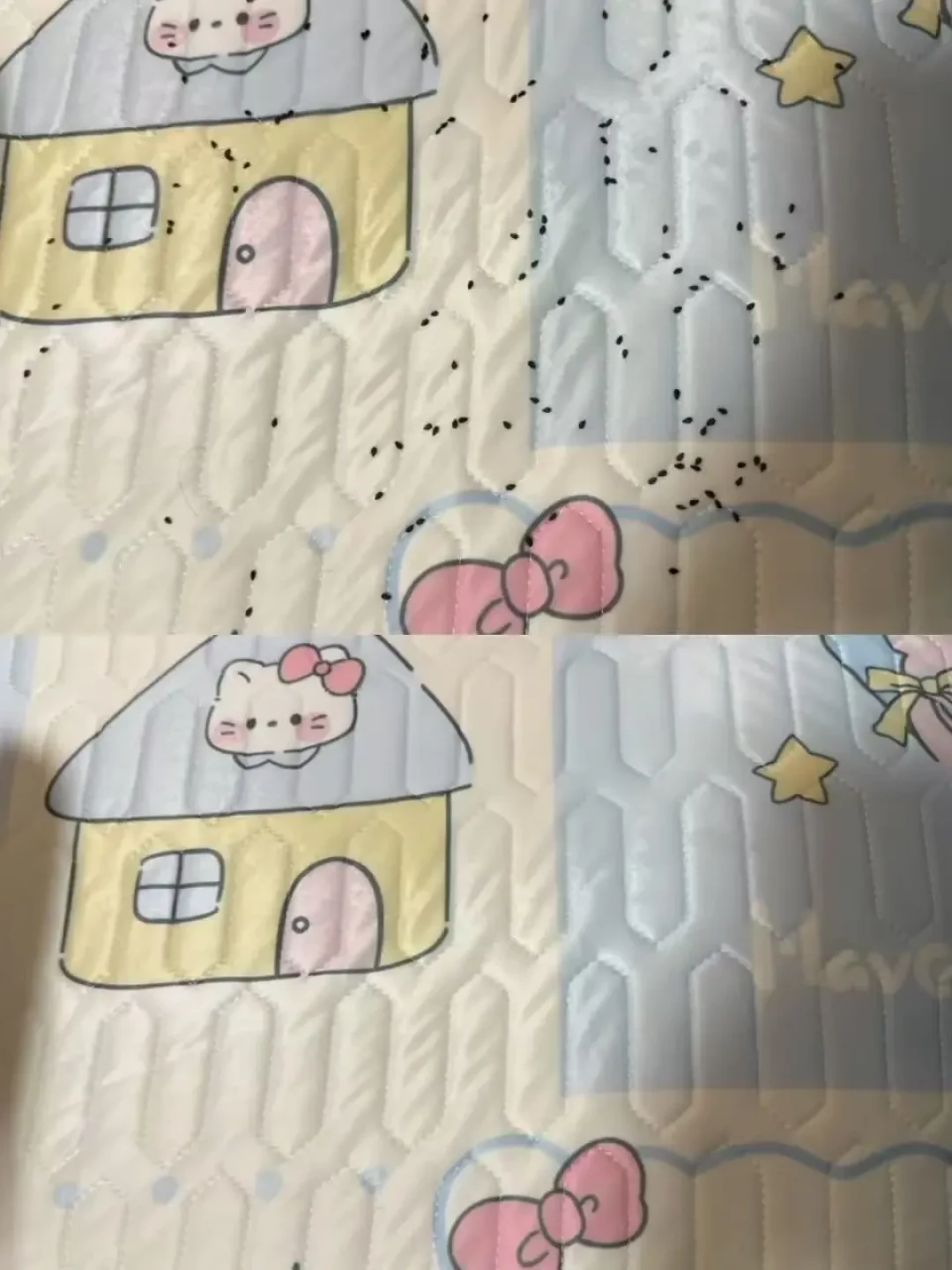 寒潮和双11预售撞在同一晚：先别按