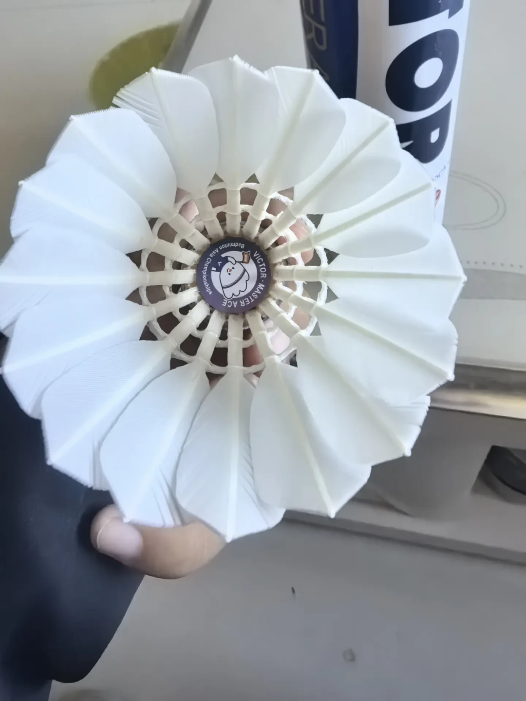 丹麦公开赛