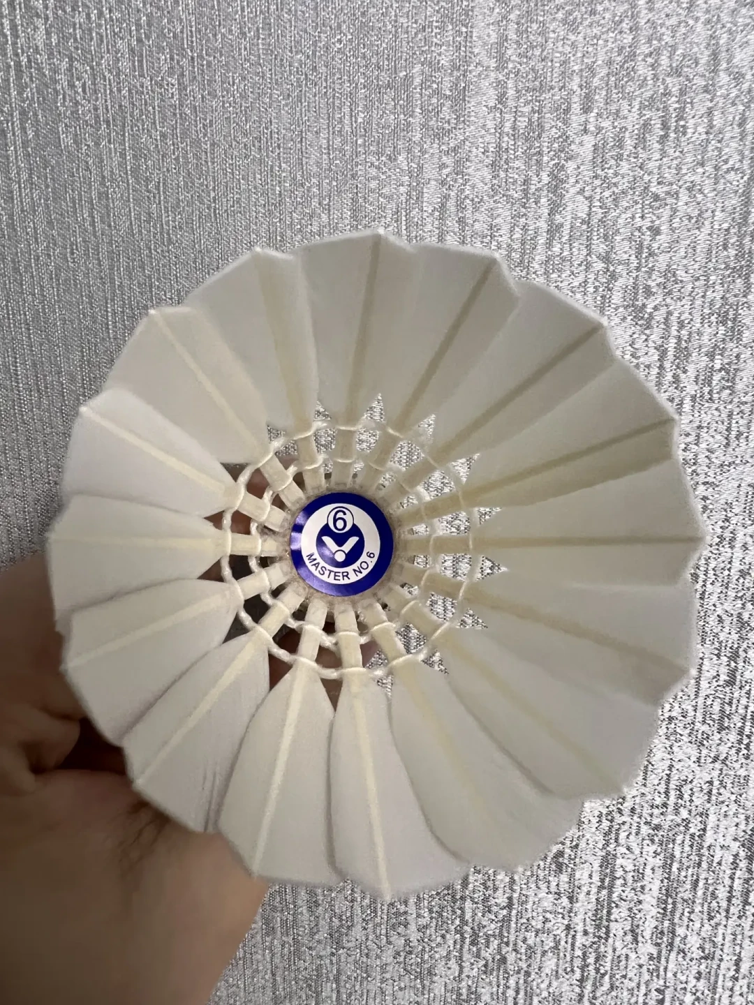丹麦公开赛