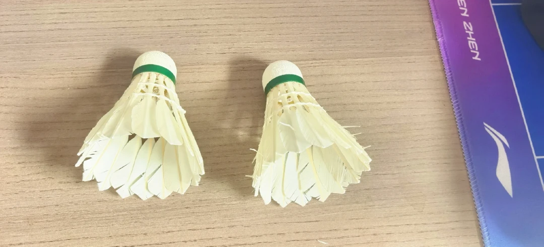 丹麦公开赛