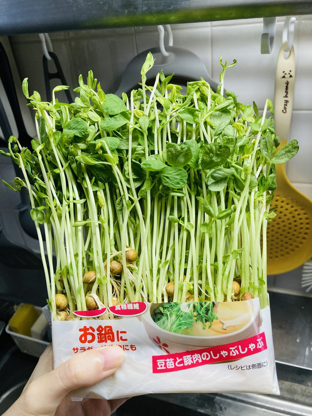 秋冬喝汤暖身，加把豌豆苗养眼又解腻！