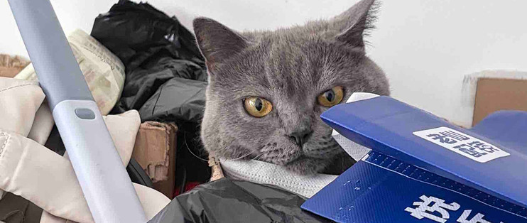 玻璃胃猫粮怎么选？5款猫粮的原料表逐项核对清单
