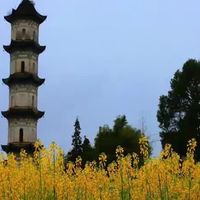 深海鱼油怎么挑，先把成分和证据口径统一