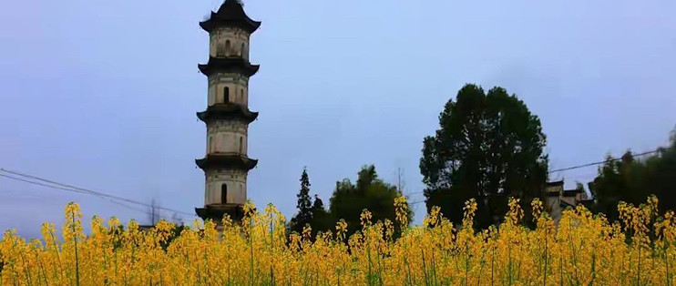深海鱼油怎么挑，先把成分和证据口径统一