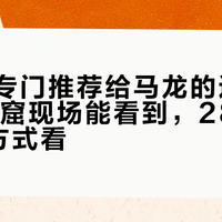 樊锦诗专门推荐给马龙的这两座窟:61窟现场能看到,285窟要换4种方式看