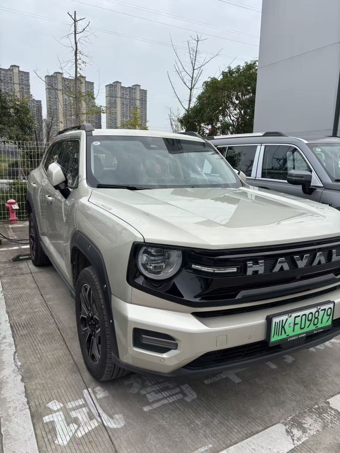 HEV限时10.59万起、PHEV落地约14万、退役试驾车7.99万：在三台哈弗大狗之间摇摆的家庭，先回答能不能装桩