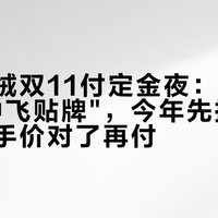 阿迪羽绒双11付定金夜：去年被骂"雪中飞贴牌"，今年先把充绒量、到手价对了再付