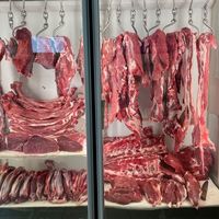 牛肉批发价连涨15周、炖牛肉怎么炖软烂 | 牛肉10.15日报