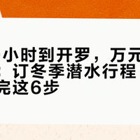 飞了20小时到开罗，万元船宿查无此船：订冬季潜水行程，付款前先做完这6步