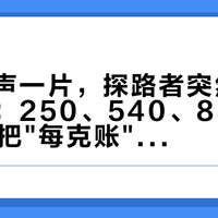 鹅绒涨声一片，探路者突然上七件羽绒：250、540、850，双11先把"每克账"算完再刷卡