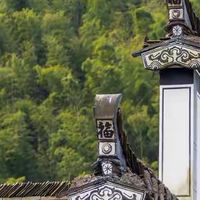 买干海参时，我先看等级还是先看净制