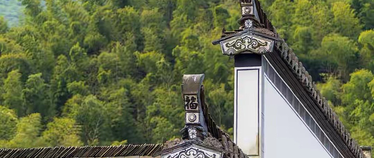 买干海参时，我先看等级还是先看净制