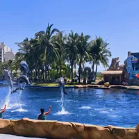 陵水凯悦988/2晚、天丽湾1818/3晚：双11两份"全程不加价"在疯抢，吐槽帖也在疯评，寒假的钱到底能不能花