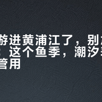 海鲈都游进黄浦江了，别急着换竿换饵：这个鱼季，潮汐表比你那盒饵管用