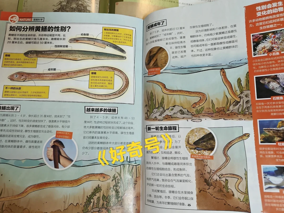 好奇号有人98有人248：双11给娃订科普杂志，先过这几关
