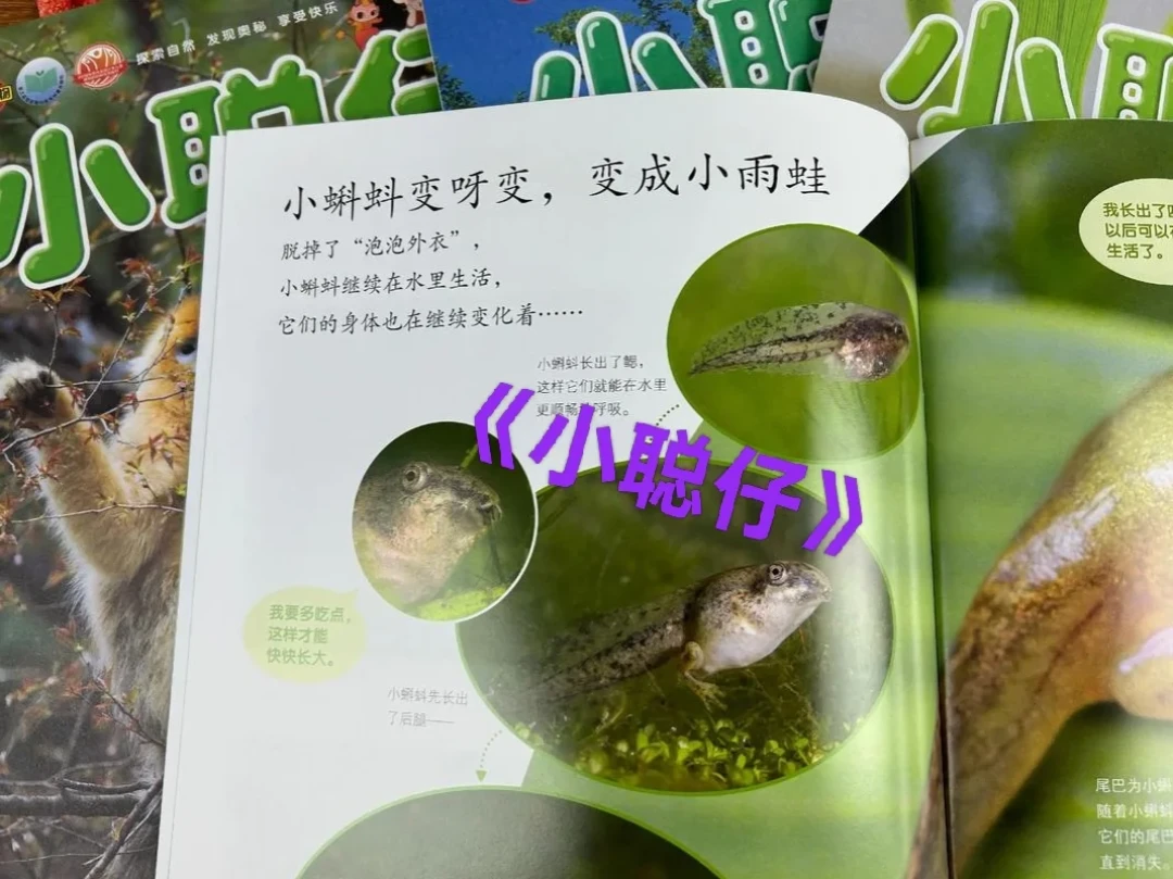 好奇号有人98有人248：双11给娃订科普杂志，先过这几关