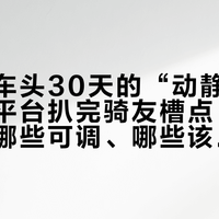 燕鸥新车头30天的“动静”自检单：全平台扒完骑友槽点，哪些天生、哪些可调、哪些该走售后