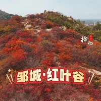 全国赏秋“进度条”走到红叶高峰带：5个错峰人少景美的秘境，从10月中旬排到12月初