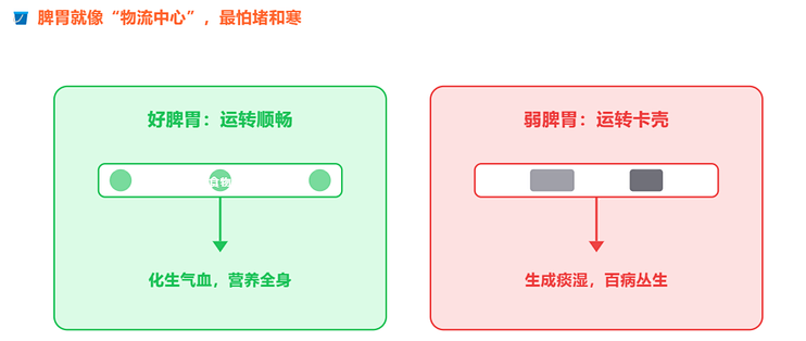 脾胃虚弱怎么补都白搭？最怕的6个习惯，第3个你天天都在做！