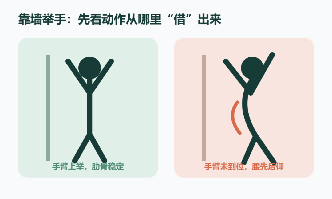 推举里顶腰推起来的次数,不算肩膀的账
